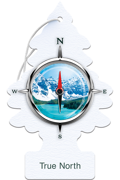 خوشبوکننده ماشین لیتل تریز مدل TRUE NORTH